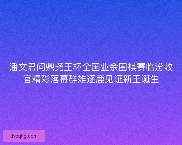 潘文君问鼎尧王杯全国业余围棋赛临汾收官精彩落幕群雄逐鹿见证新王诞生 潘文君问鼎尧王杯全国业余围棋赛临汾收官精彩落幕群雄逐鹿见证新王诞生
