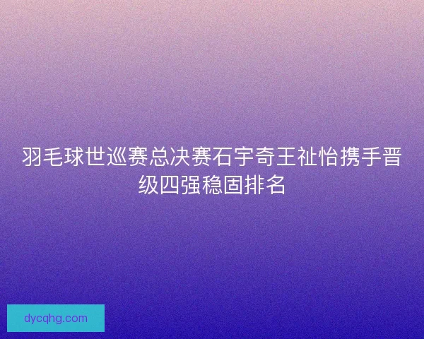 羽毛球世巡赛总决赛石宇奇王祉怡携手晋级四强稳固排名